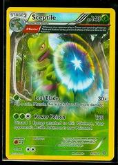 2015 XY Primal Clash - Sceptile 9/160